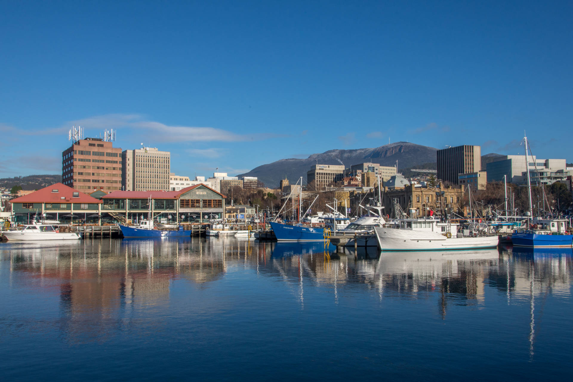 Hobart / Sandy Bay Petrusma Property